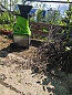 Измельчитель с ящиком Greenworks GACSB 2500W, арт. 2206707