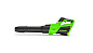 Воздуходувка аккумуляторная Greenworks GD40BG3, 40V, с 1хАКБ 8 Ач и ЗУ (2408207UH)