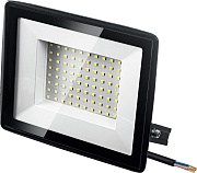 Светодиодный прожектор STAYER LED-MAX, 100 Вт, 6500K, IP 65